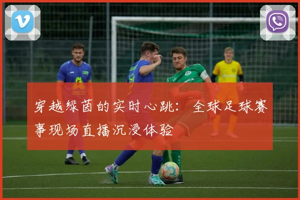 穿越绿茵的实时心跳：全球足球赛事现场直播沉浸体验