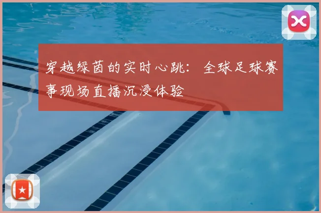穿越绿茵的实时心跳：全球足球赛事现场直播沉浸体验