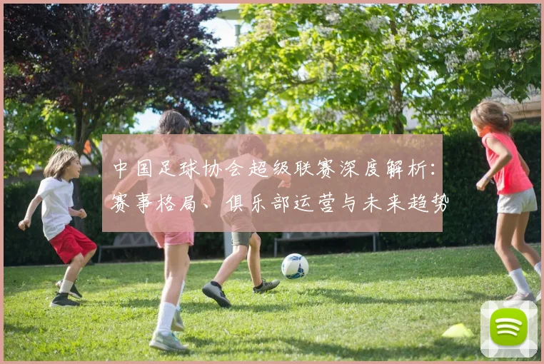 中国足球协会超级联赛深度解析:赛事格局、俱乐部运营与未来趋势全透视